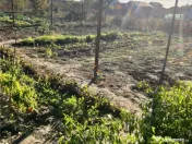 Casa individuala de caramida si vaiuga cu centrala pe gaz Pa 