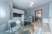 Vila de Lux 7 camere, Ideala rezidențial + afacere, zona Ul 