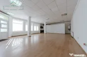 Vila de Lux 7 camere, Ideala rezidențial + afacere, zona Ul 