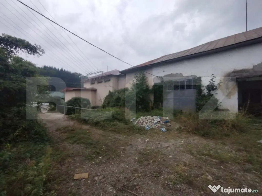 Spatiu depozitare/productie de inchiriat, oras Nasaud