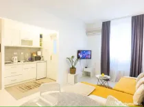 Apartament cu 2 camere in zona Piata Victoriei