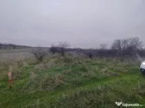 Teren extravilan Carcea - 2500 mp