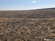 TEREN EXTRAVILAN 7.802 mp –DOMNESTI, ILFOV 