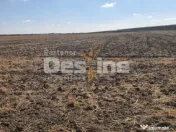 TEREN EXTRAVILAN 7.802 mp –DOMNESTI, ILFOV 