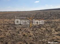 TEREN EXTRAVILAN 7.802 mp –DOMNESTI, ILFOV