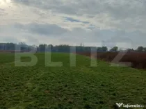 Teren extravilan, 3800 mp, Turda