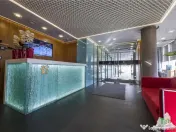 Spatiu de Birouri de 363 mp in Zona Herastrau 