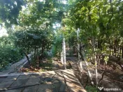 Casă, gradină, teren mare - Palazu Mare 