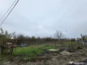 Teren Branesti - Str Oltului - 1600 mp - deschidere 16 ml 