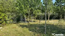 Teren extravilan, de vanzare, 1.500 mp, zona Valea Ghinzii-s