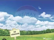 Pasune 21 ha pretabila pentru panouri fotovoltaice,impadurit 