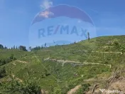 Pasune 21 ha pretabila pentru panouri fotovoltaice,impadurit 