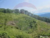 Pasune 21 ha pretabila pentru panouri fotovoltaice,impadurit 