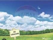 Pasune 21 ha pretabila pentru panouri fotovoltaice,impadurit 