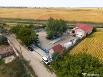 Spațiu industrial cu potential de vanzare in Paulis,Arad