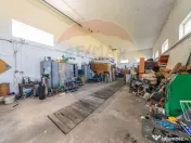 Spațiu industrial cu potential de vanzare in Paulis,Arad 