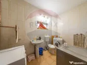 Spațiu industrial cu potential de vanzare in Paulis,Arad 