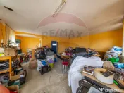 Spațiu industrial cu potential de vanzare in Paulis,Arad 