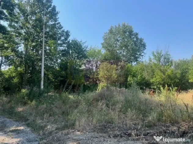 Teren Clinceni- Ordoreanu- langa Dig.