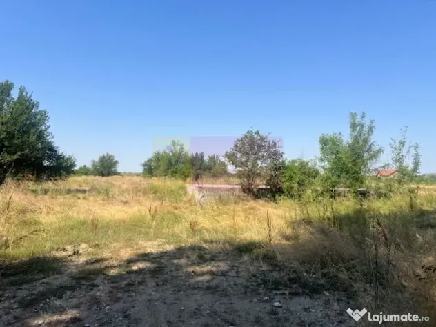 Teren Clinceni- Ordoreanu- langa Dig.
