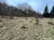 Teren intravilan 6.500 m²–Deschidere 144 ml drum european 