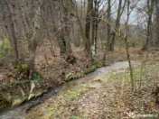 Teren intravilan 6.500 m²–Deschidere 144 ml drum european 