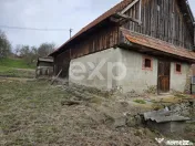 Casă + anexe gospodărești pe teren generos în Rediu, com 
