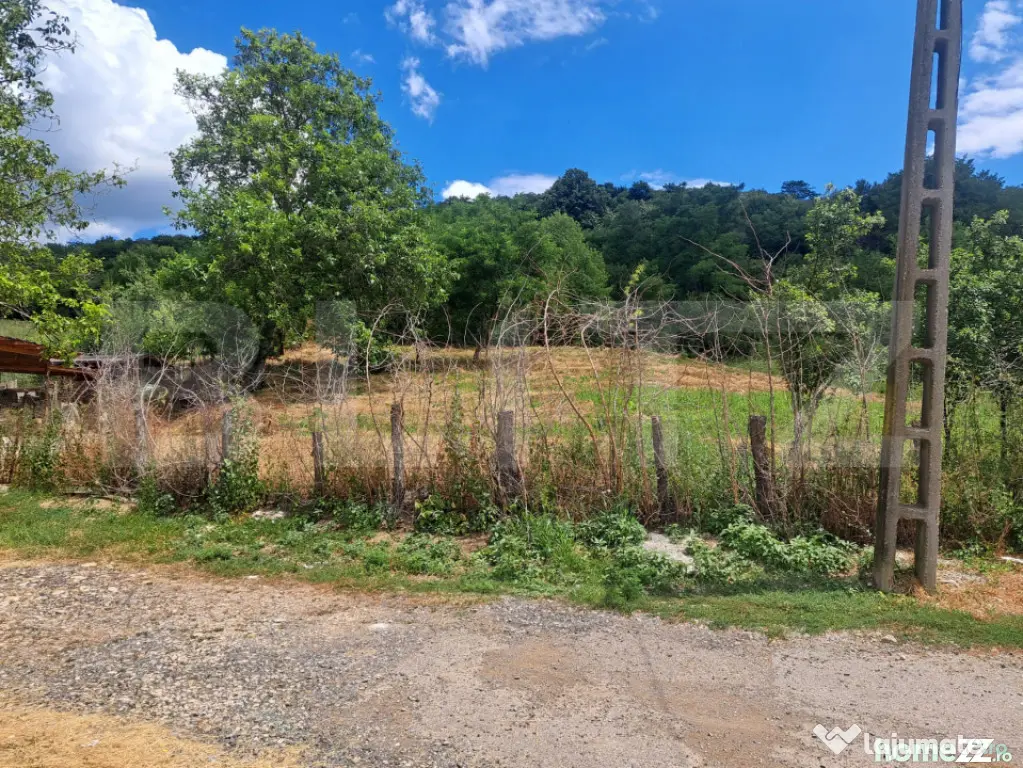 Teren 24.712 mp, parcelabil, Viforata