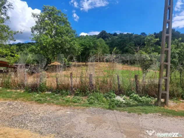 Teren 24.712 mp, parcelabil, Viforata