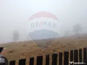 Teren INTRAVILAN 23.238m.p. Dorna-Arini / Cozănești 