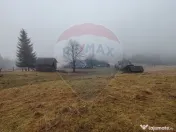 Teren INTRAVILAN 23.238m.p. Dorna-Arini / Cozănești 