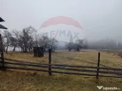 Teren INTRAVILAN 23.238m.p. Dorna-Arini / Cozănești 