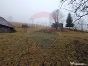Teren INTRAVILAN 23.238m.p. Dorna-Arini / Cozănești 