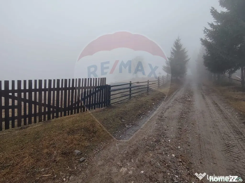 Teren INTRAVILAN 23.238m.p. Dorna-Arini / Cozănești