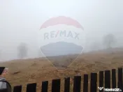 Teren INTRAVILAN 23.238m.p. Dorna-Arini / Cozănești 