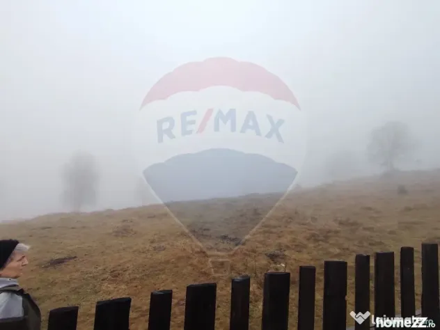 Teren INTRAVILAN 23.238m.p. Dorna-Arini / Cozănești