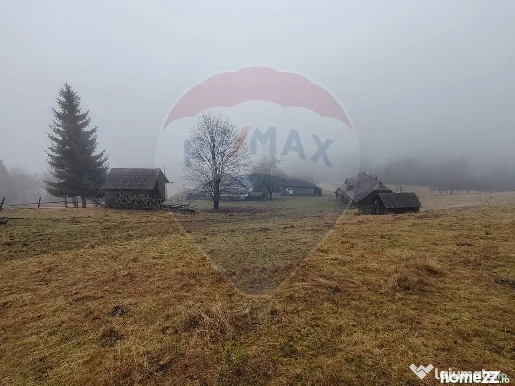 Teren INTRAVILAN 23.238m.p. Dorna-Arini / Cozănești