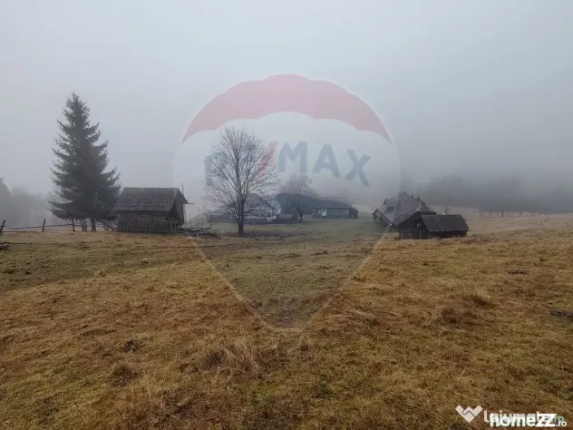 Teren INTRAVILAN 23.238m.p. Dorna-Arini / Cozănești
