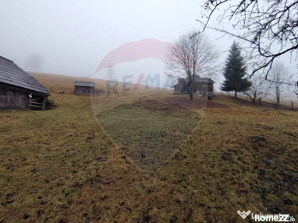 Teren INTRAVILAN 23.238m.p. Dorna-Arini / Cozănești