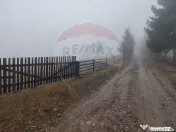Teren INTRAVILAN 23.238m.p. Dorna-Arini / Cozănești