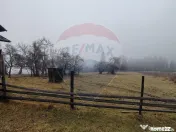 Teren INTRAVILAN 23.238m.p. Dorna-Arini / Cozănești