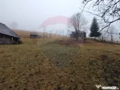 Teren INTRAVILAN 23.238m.p. Dorna-Arini / Cozănești