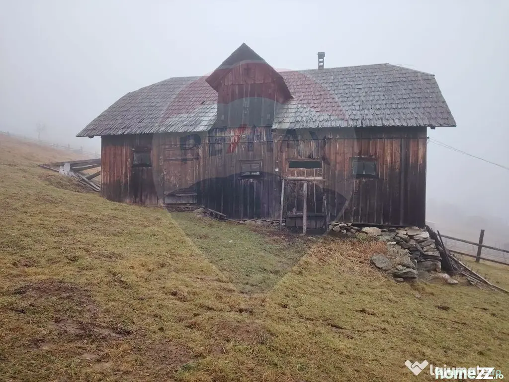 Teren INTRAVILAN 23.238m.p. Dorna-Arini / Cozănești