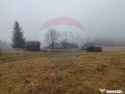 Teren INTRAVILAN 23.238m.p. Dorna-Arini / Cozănești