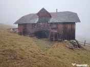 Teren INTRAVILAN 23.238m.p. Dorna-Arini / Cozănești