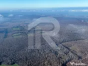 Teren langa Manastirea Sfantul Nicolae Sitaru 