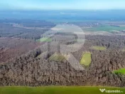 Teren langa Manastirea Sfantul Nicolae Sitaru 