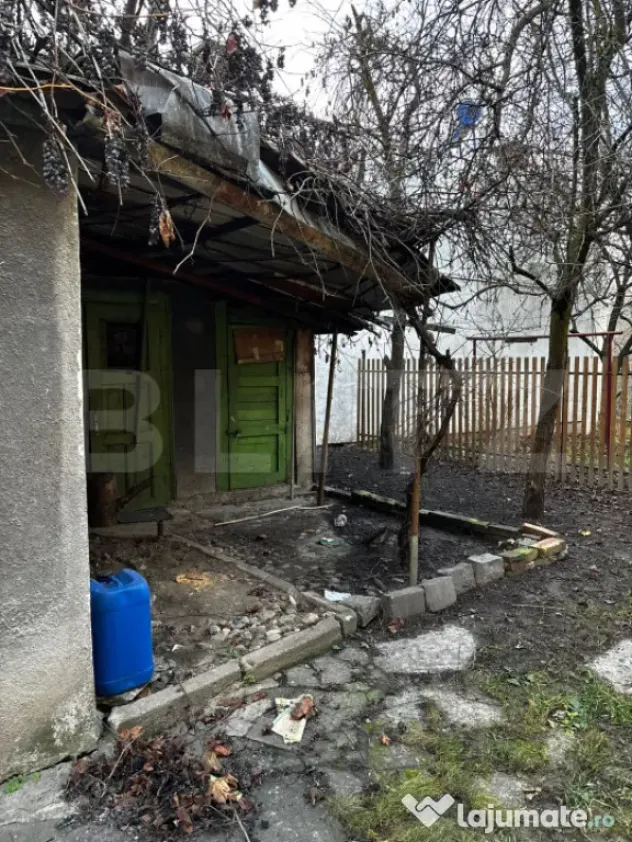 Apartament 1 cameră | Zonă centrală | Demisol înalt | Cu