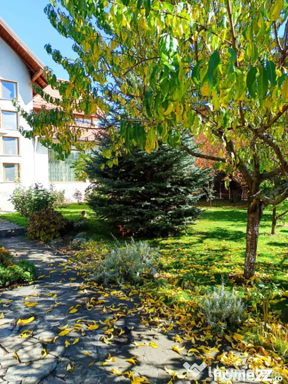 Vilă individuală S+P+1E+Pod | 4 dormitoare | Teren 698 mp - Ploiesti (Prahova)