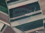 Teren extravilan 2 parcele de 9.750 mp - Satul Nou, comun... 